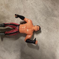 Wwf Ljn