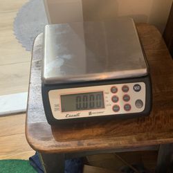 Digital Scale