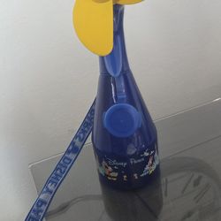 Disney park collectibles fan 2005