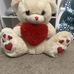 Stuffed Animal 