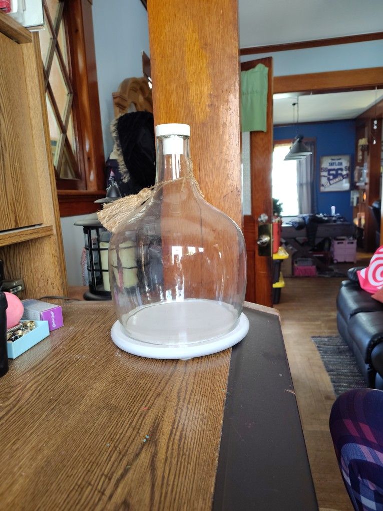 Mud Pie Brand, Cake/Plant Cover