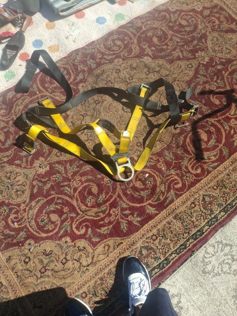 Safety Harness