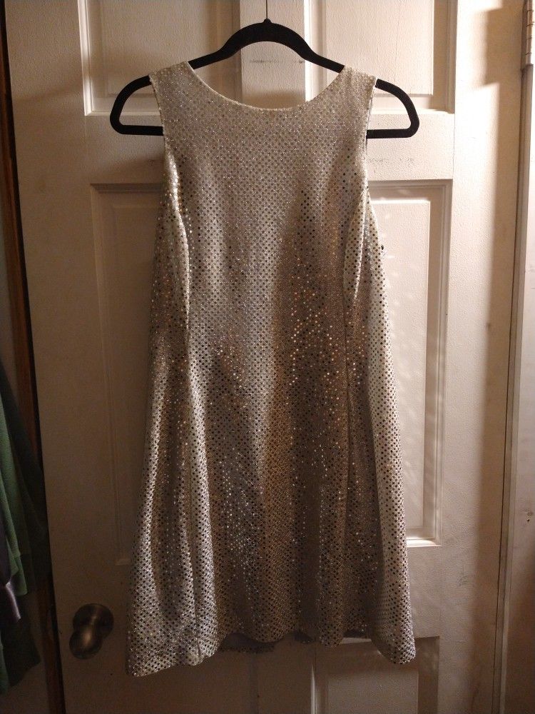 late edition LTD silver sequin sleeveless dress