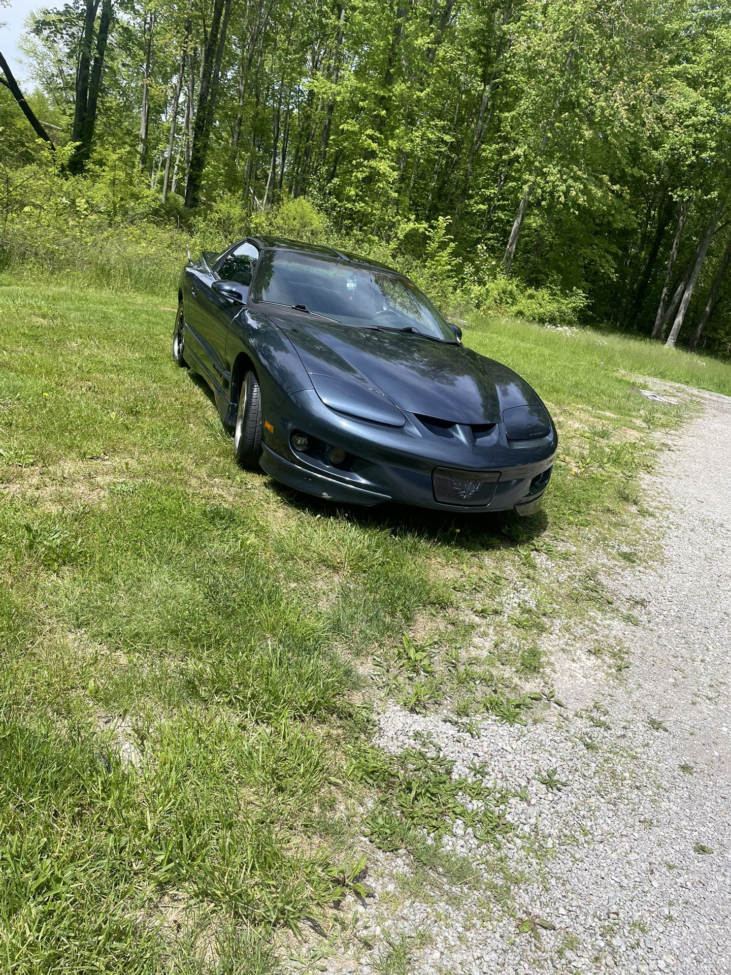 2000 Pontiac Firebird