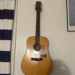 Ibanez Artwood Acoustic Guitar 