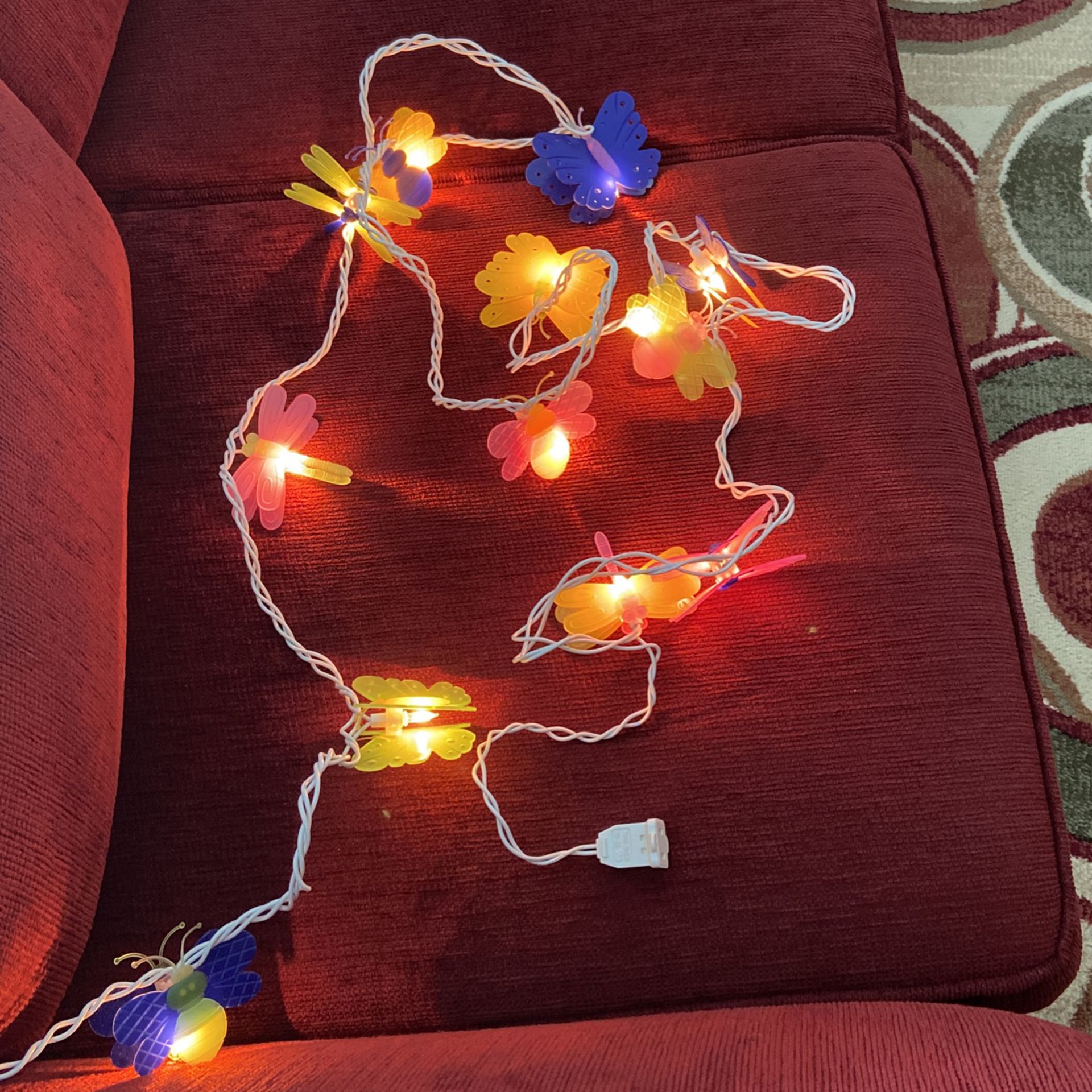 String  Lights 