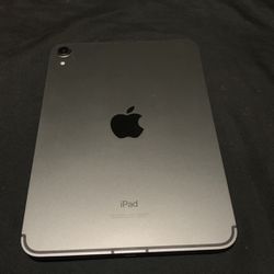 iPad Mini 6 256 And Cellular 