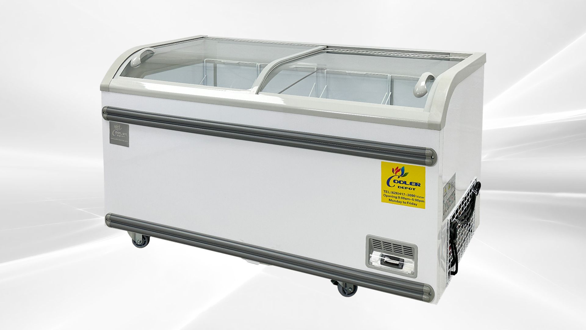 NSF 56 ins Supermarket Grocery Freezer WD-500Y