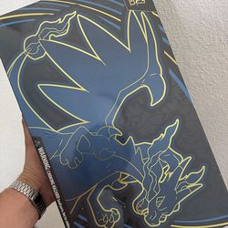 Mega Charizard Pokemon