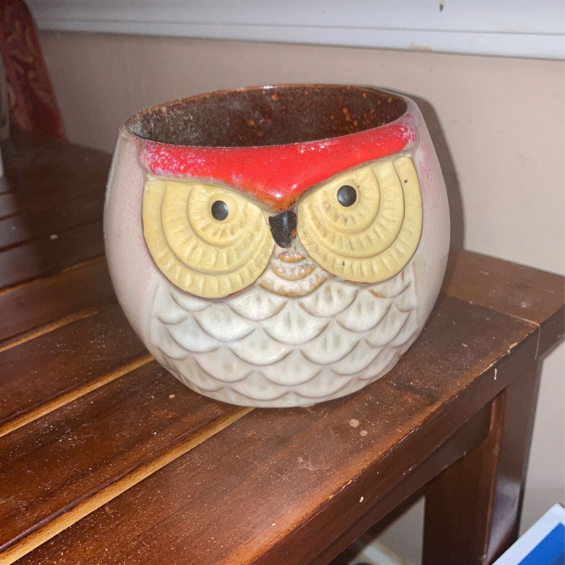 Owl Planter For Plant Or Store Things In Decoration
