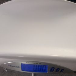 Baby Scale Bernell