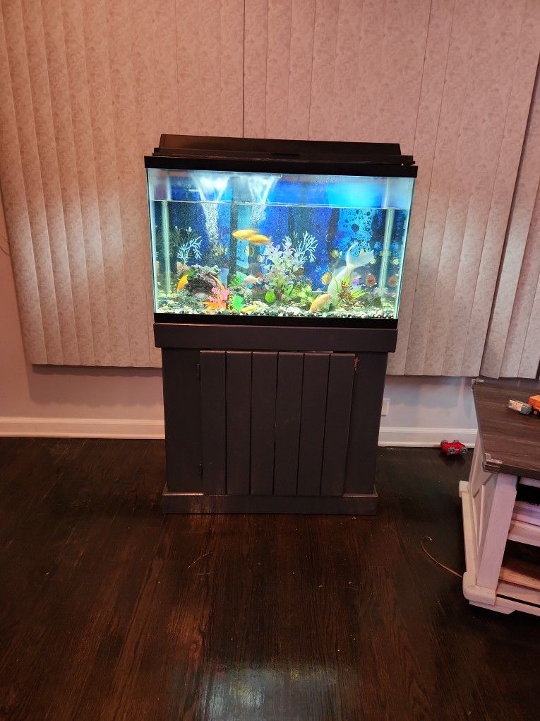 Fish Tank