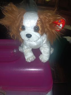 New Retired Beanie Baby Regal The King Charles Spaniel Plush Toy For Sale.