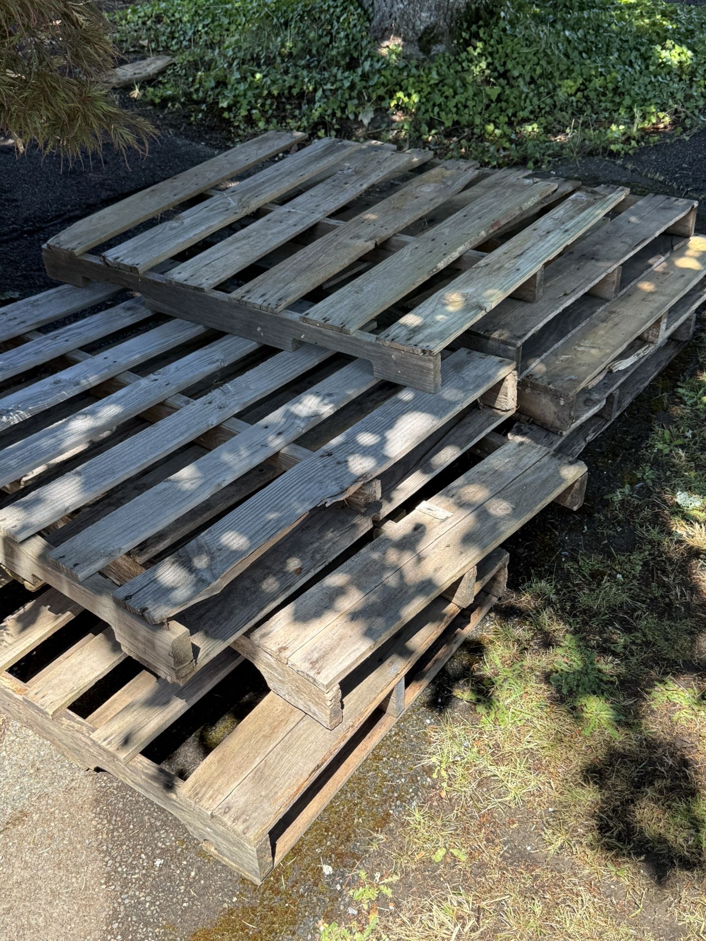 6 1/2 Wood Free Pallets