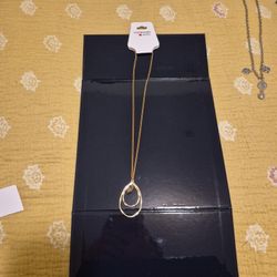 Beautiful Hypoallergenic Plated Gold Chain And Outline Pendant Necklace And Inside The Outline Pendant Is A Glass Gem That Is Almost Coffee Colored