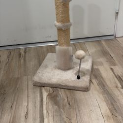 Cat Scratchers