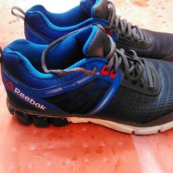 Men's Reebok Shoes