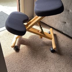 Ergonomic Chair