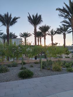 Land for Sale (Naples-Florida)