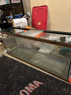 50 Gallon Aquarium