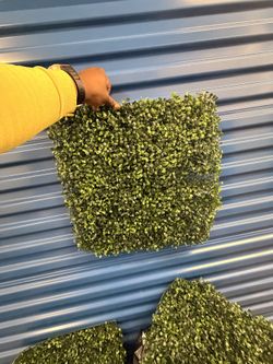 Green Decorative Grass (2 bags)