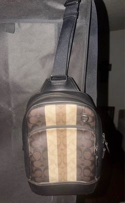 Coach Side Bag