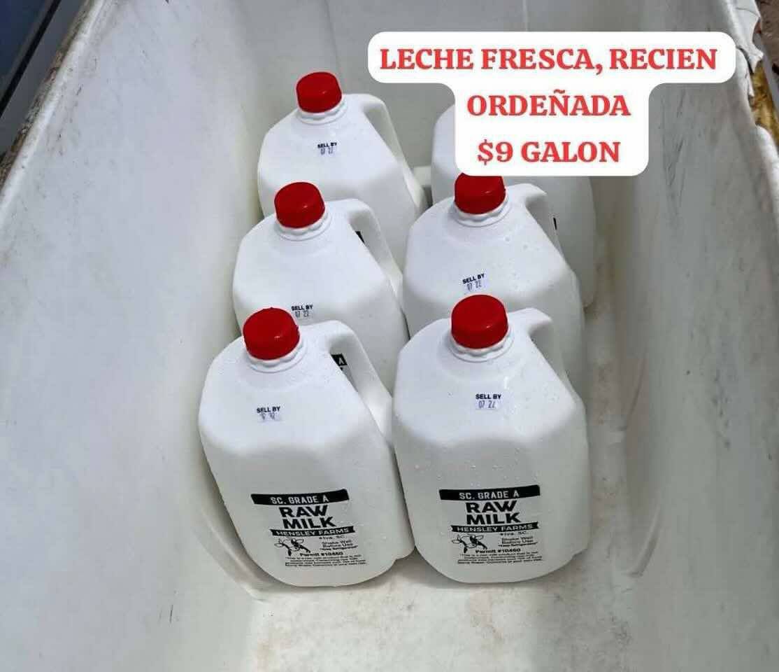 Eggs Milk Chicken 