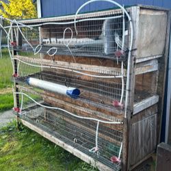 Quail Cages 3 In 1