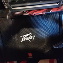 Peavey House Speaker Can Fit On A Stand  Sounds Grate