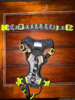 Dog Harness/Collar