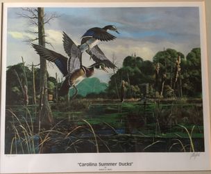 Carolina Summer Ducks by Robert Binks, limited edition print, signed and numbered, sealed in back