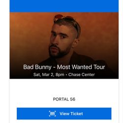 Bad Bunny Concert