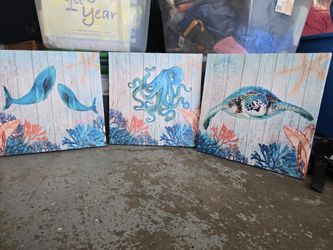 Canvas Frames