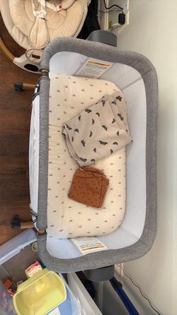 Infant/Baby  Bassinet and Couch Lounger