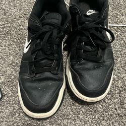 Nikes Dunks 2.0Been Worn 