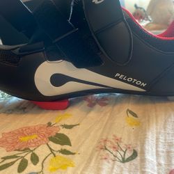 Pelaron Shoes With Cleats 