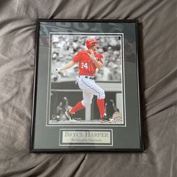 Bryce harper rookie picture
