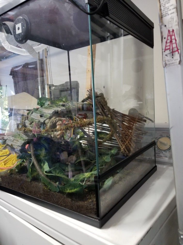 Reptile cage