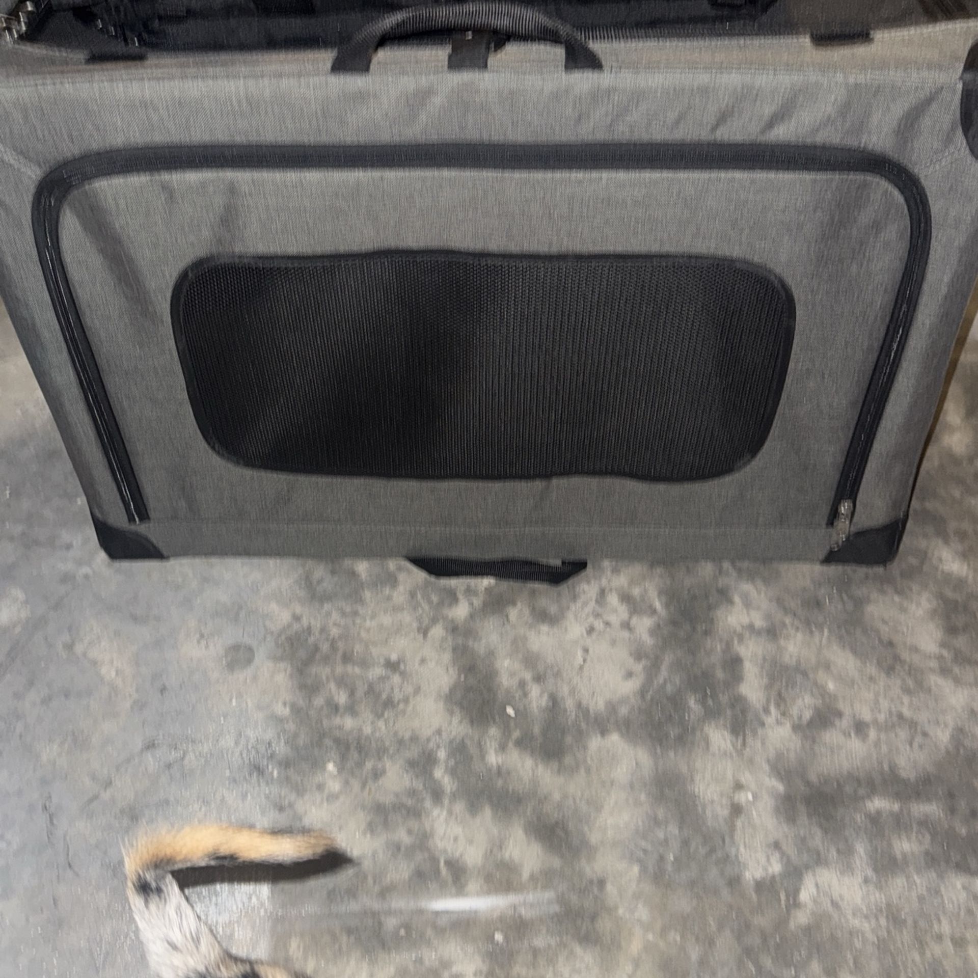Large PET Carrier