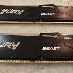 Kingston Fury Beast 16gb 8x2 DDR5 5600mhz CL40