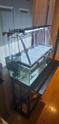 Custom Made Fry Growing System. 
