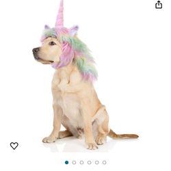 Dog Costume 