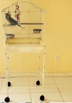 Bird cage