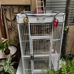 Bird Cage 