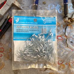 100 White Rivets