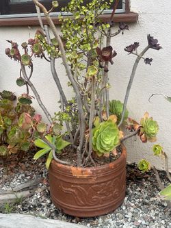 flowerpot