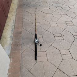Fishing Rod &  Reel Penn Senator 