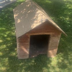 Dog House 
