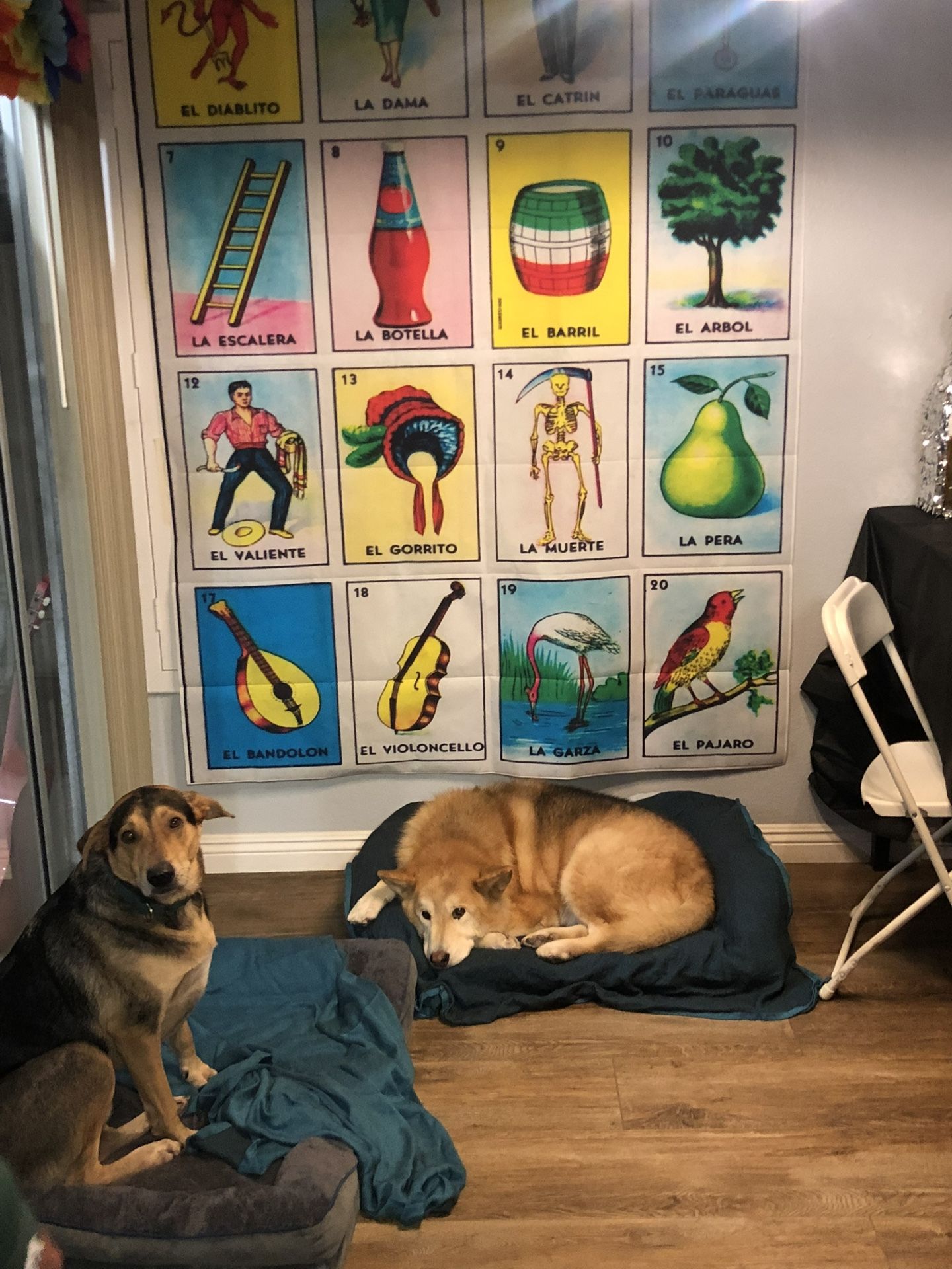 Loteria/ Mexican Party Decorations