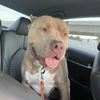 Sebastian